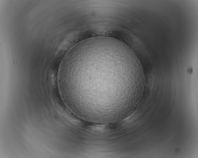 X0000111910086200907271232