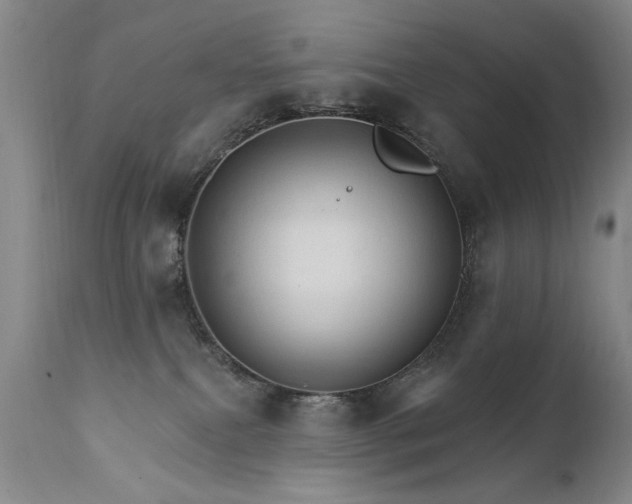 X0000111910087200907271232