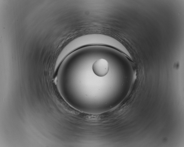X0000111910088200907271232