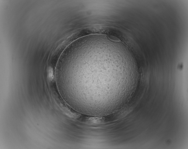 X0000111910089200907271232