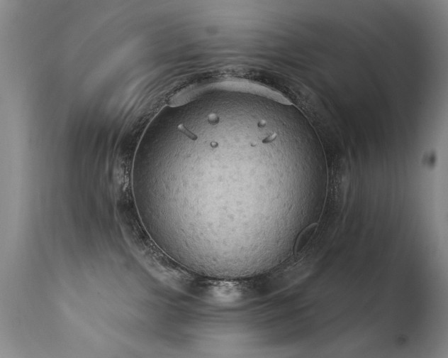 X0000111910091200907271232