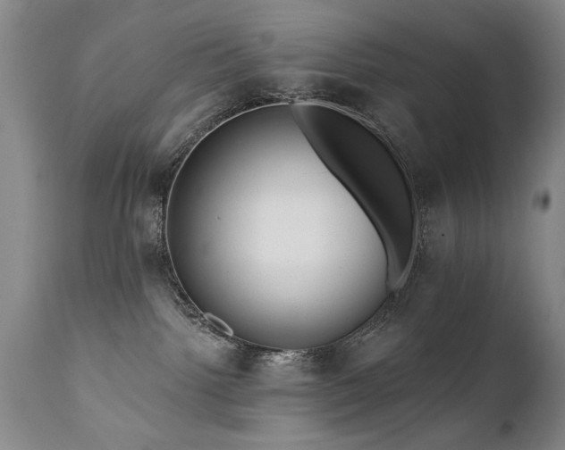 X0000111910092200907271232