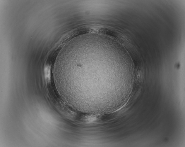 X0000111910094200907271232
