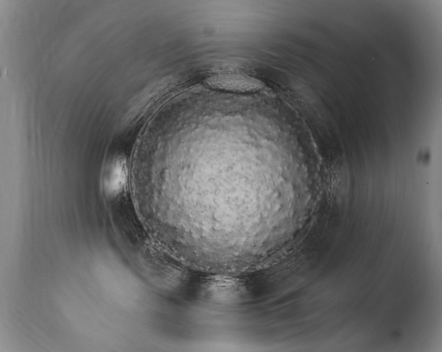 X0000111910095200907271232