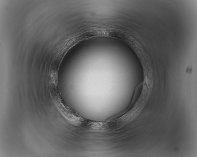 X0000111910096200907271232