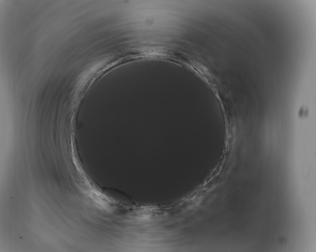 X0000111910097200907271231