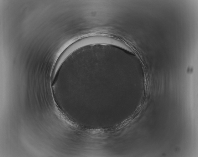 X0000111910100200907271231