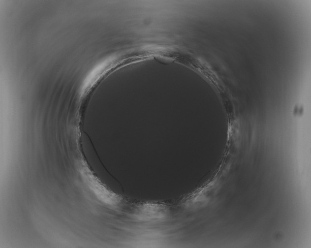 X0000111910101200907271231