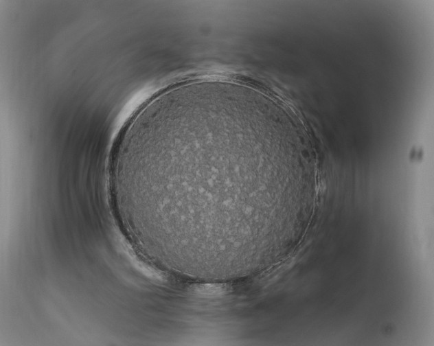 X0000111910102200907271231