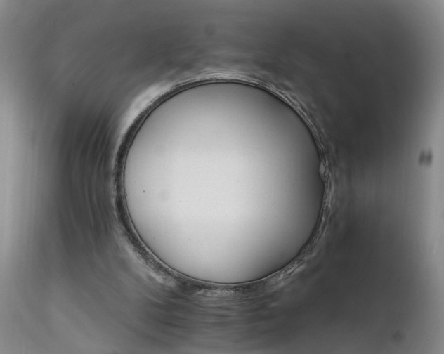 X0000111910104200907271231