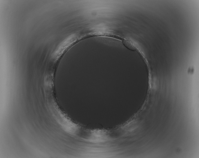 X0000111910105200907271231