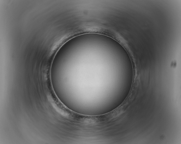 X0000111910106200907271231