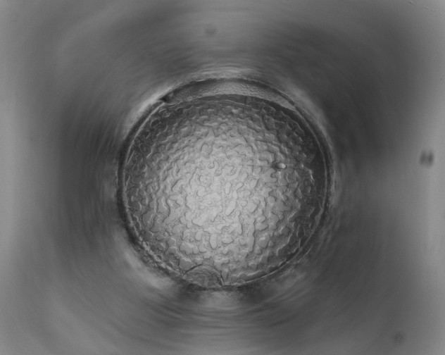 X0000111910107200907271231