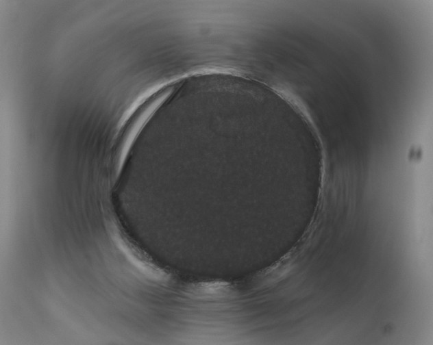 X0000111910108200907271231