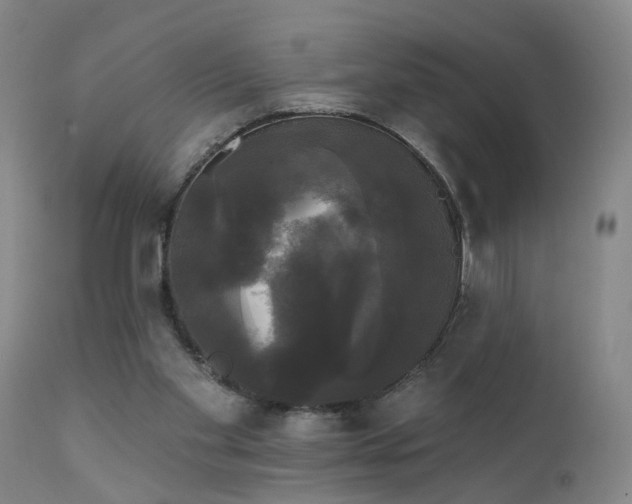 X0000111910109200907271231