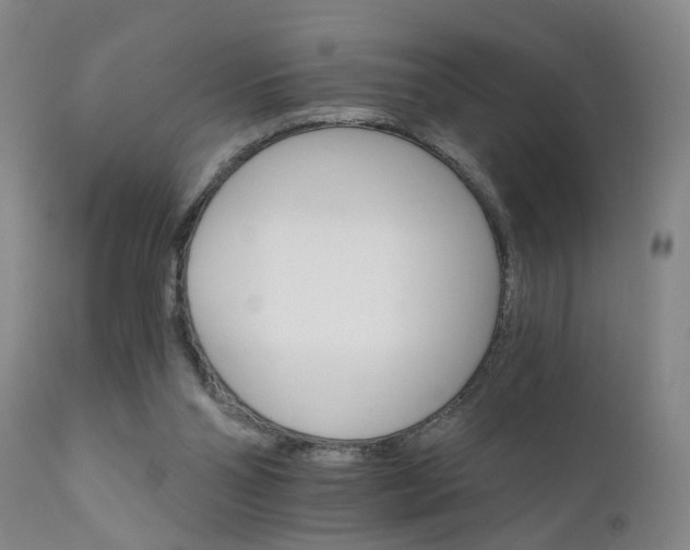 X0000111910110200907271231