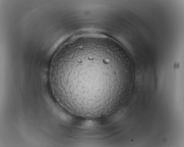X0000111910111200907271231