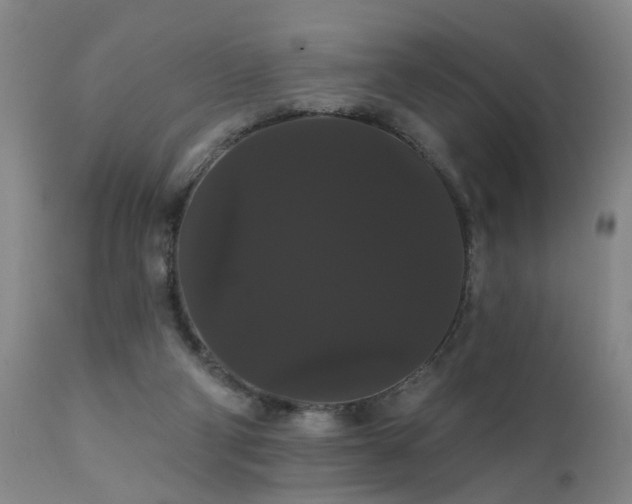 X0000111910114200907271231