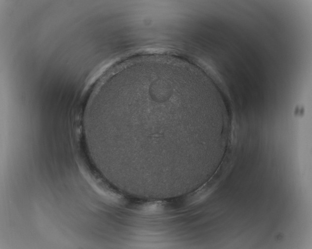 X0000111910116200907271231