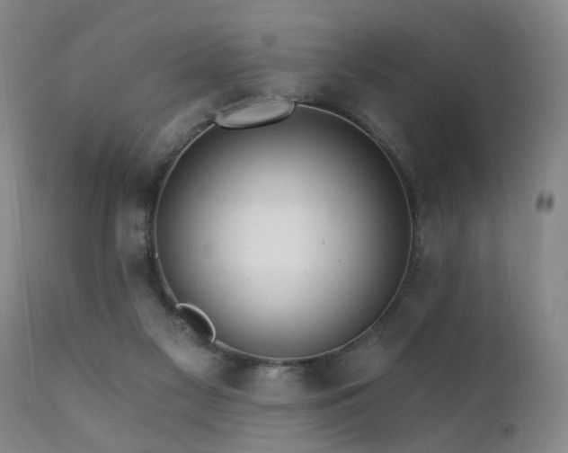 X0000111910117200907271231
