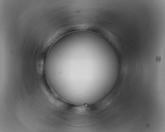 X0000111910118200907271231