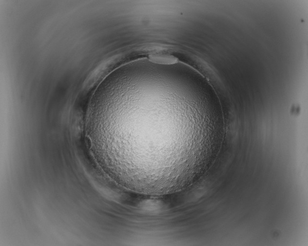 X0000111910119200907271231