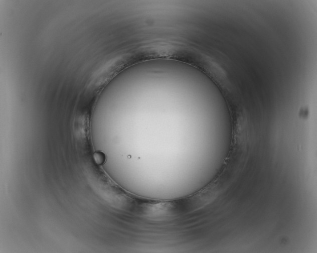 X0000111910122200907271231