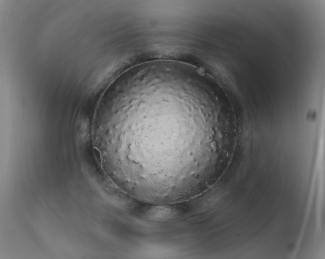 X0000111910123200907271231
