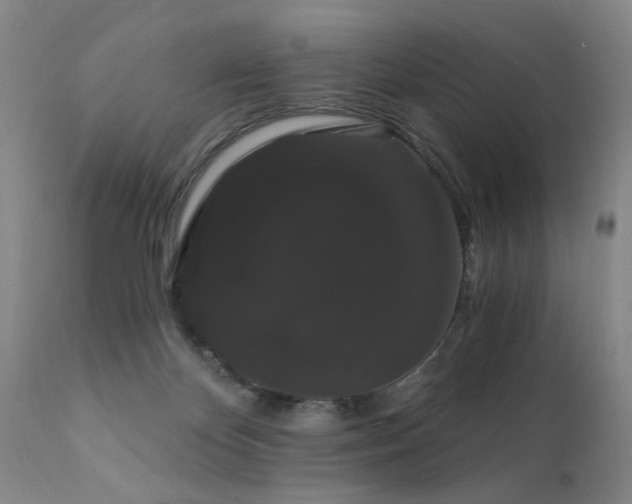 X0000111910124200907271231