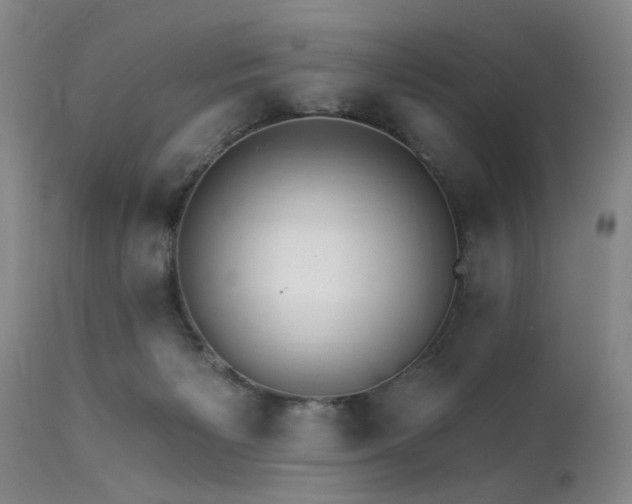 X0000111910125200907271231