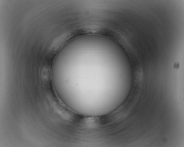 X0000111910126200907271231