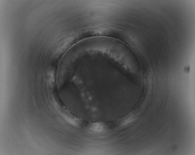 X0000111910127200907271231