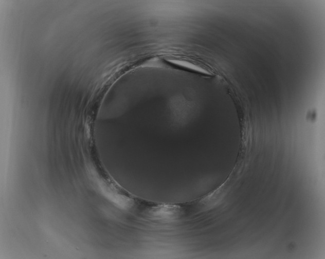 X0000111910128200907271231