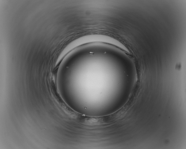 X0000111910129200907271231