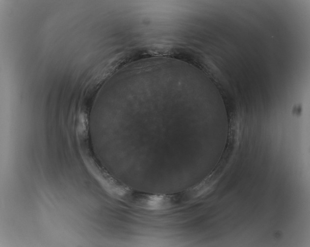X0000111910130200907271231