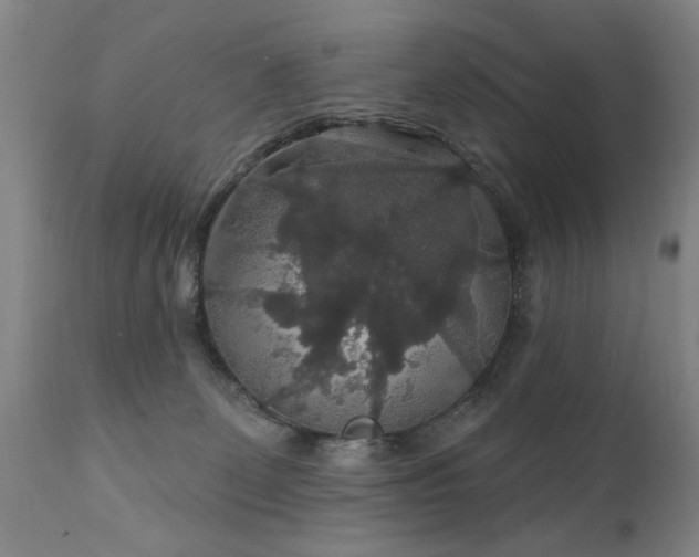 X0000111910131200907271231