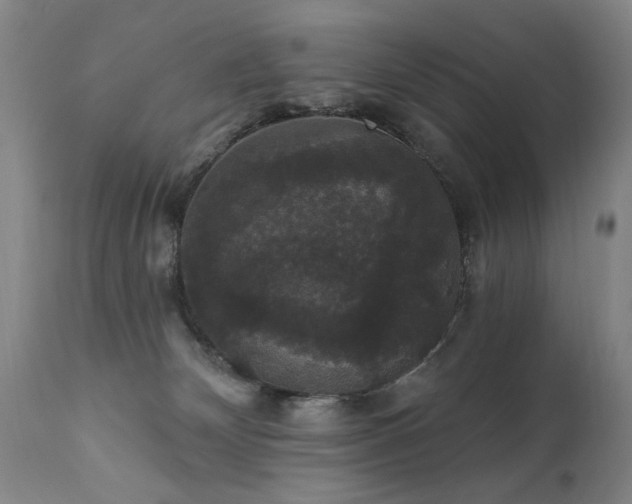 X0000111910132200907271231