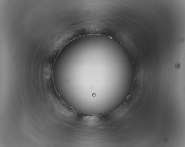 X0000111910133200907271231