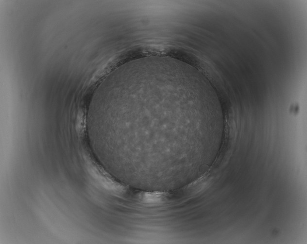 X0000111910134200907271231