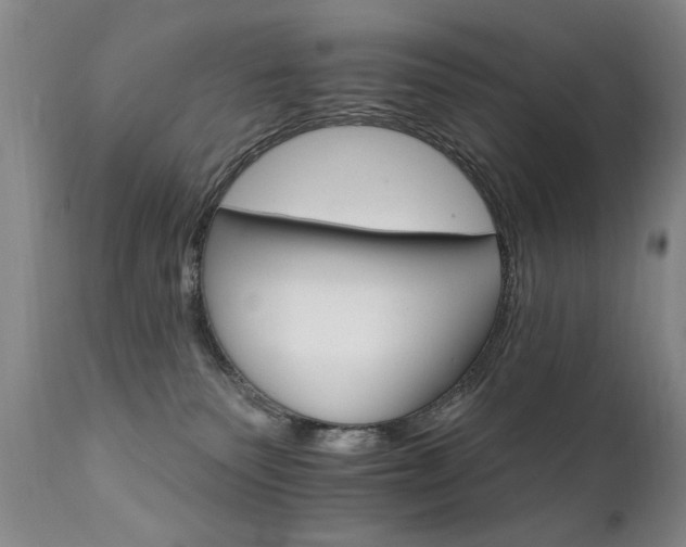 X0000111910135200907271231