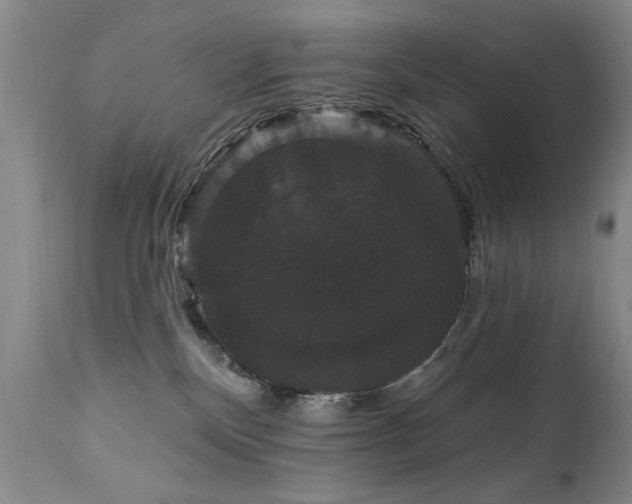 X0000111910136200907271231
