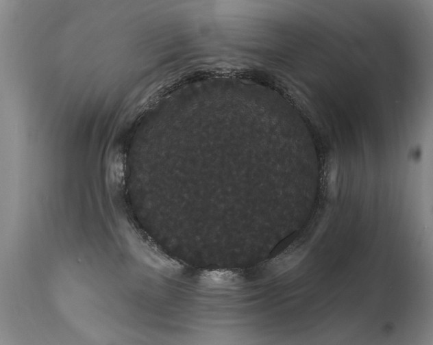 X0000111910137200907271231