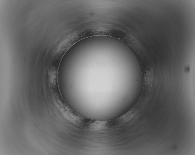 X0000111910138200907271231