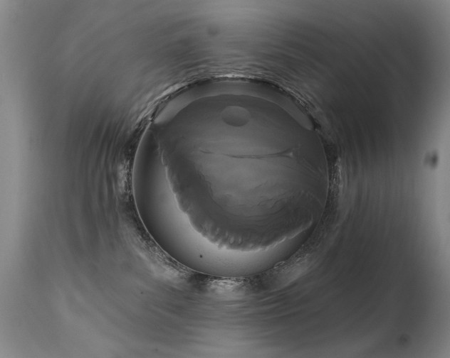 X0000111910139200907271231