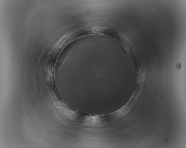 X0000111910140200907271230