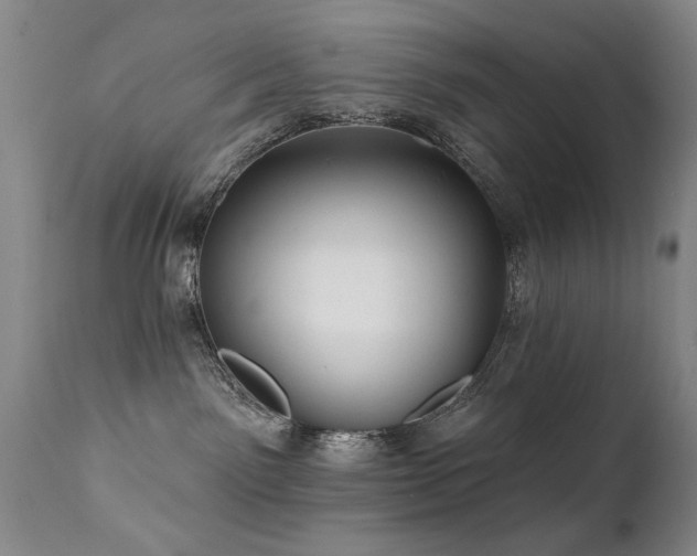 X0000111910141200907271230