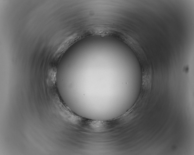 X0000111910142200907271230