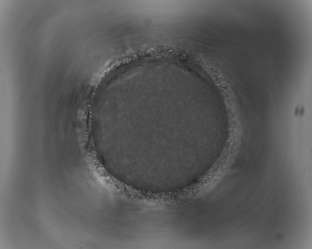 X0000111910144200907271230