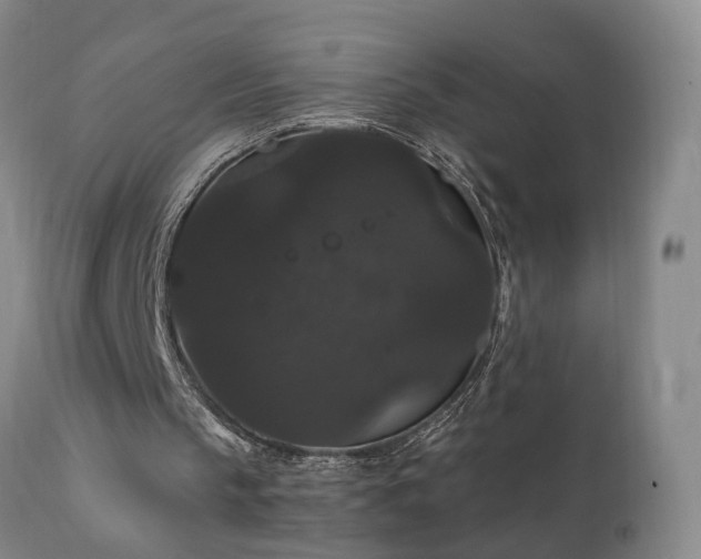 X0000111910145200907271230