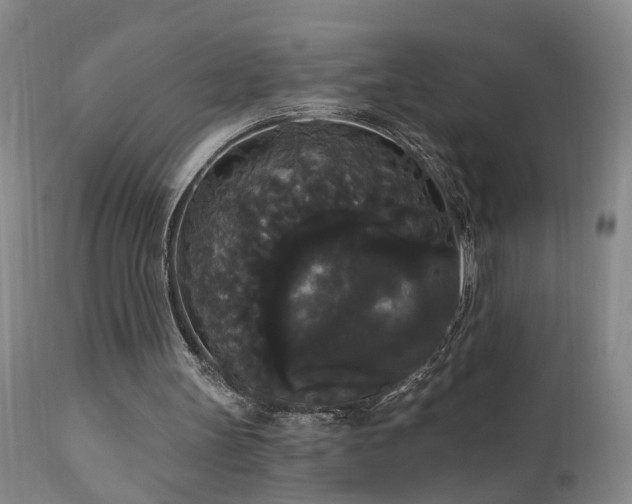 X0000111910147200907271230
